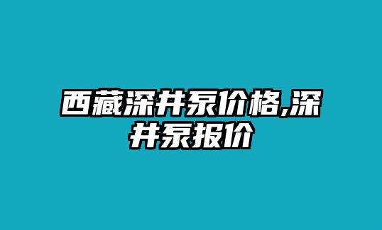 西藏深井泵價格,深井泵報價