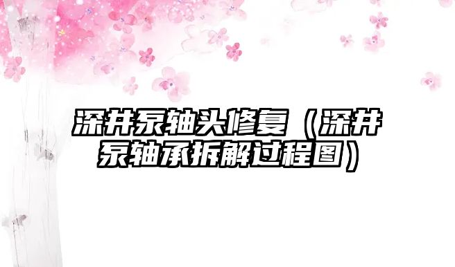 深井泵軸頭修復(fù)（深井泵軸承拆解過程圖）