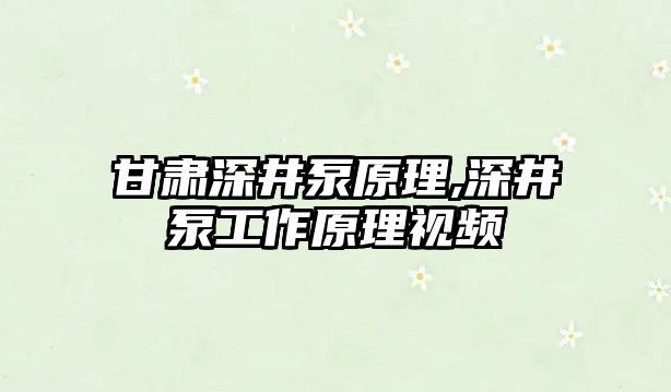 甘肅深井泵原理,深井泵工作原理視頻