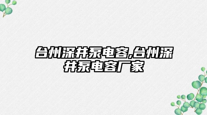 臺州深井泵電容,臺州深井泵電容廠家