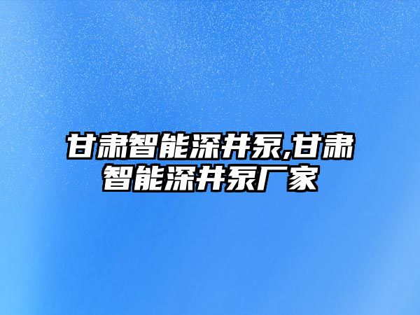 甘肅智能深井泵,甘肅智能深井泵廠家