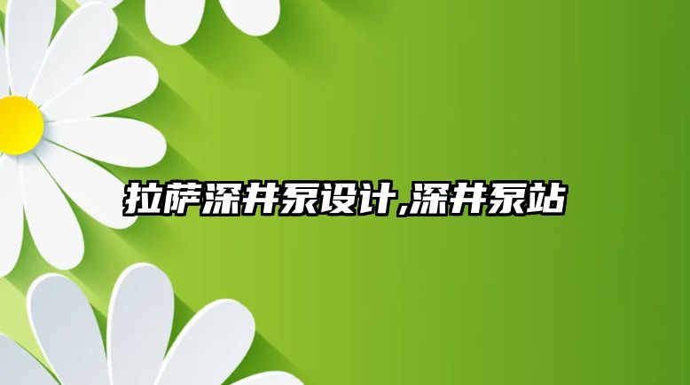 拉薩深井泵設計,深井泵站