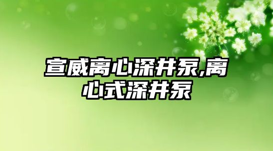 宣威離心深井泵,離心式深井泵