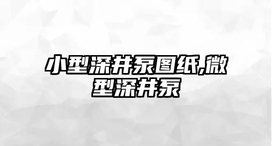 小型深井泵圖紙,微型深井泵