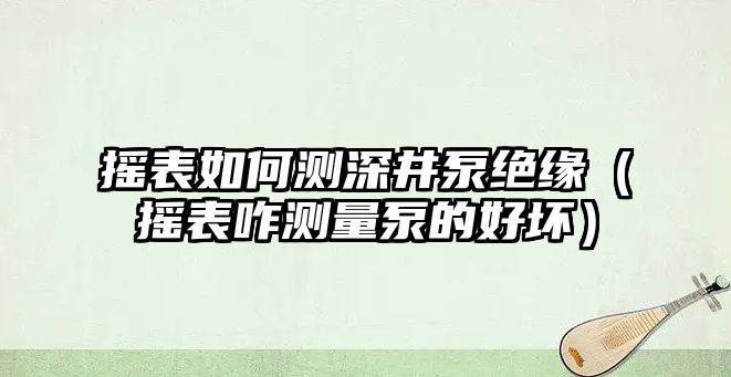 搖表如何測深井泵絕緣（搖表咋測量泵的好壞）