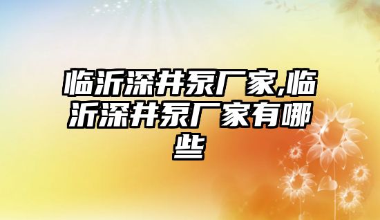 臨沂深井泵廠家,臨沂深井泵廠家有哪些