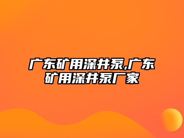 廣東礦用深井泵,廣東礦用深井泵廠家