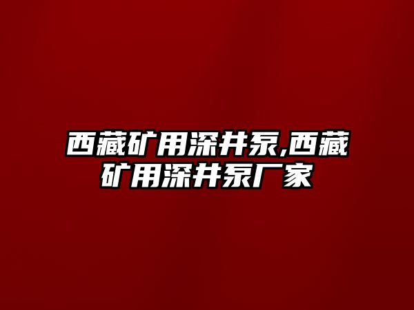 西藏礦用深井泵,西藏礦用深井泵廠家