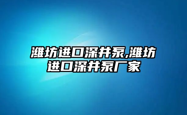 濰坊進口深井泵,濰坊進口深井泵廠家