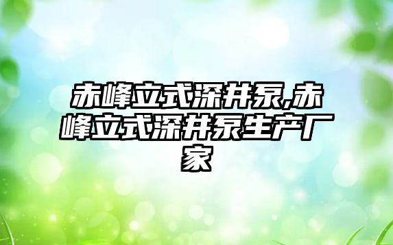 赤峰立式深井泵,赤峰立式深井泵生產廠家