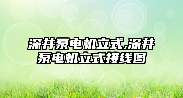 深井泵電機(jī)立式,深井泵電機(jī)立式接線(xiàn)圖