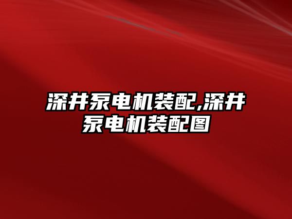 深井泵電機(jī)裝配,深井泵電機(jī)裝配圖