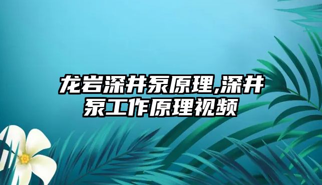 龍巖深井泵原理,深井泵工作原理視頻