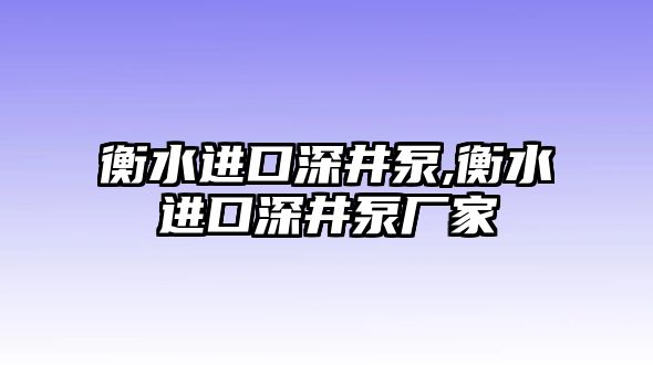 衡水進口深井泵,衡水進口深井泵廠家