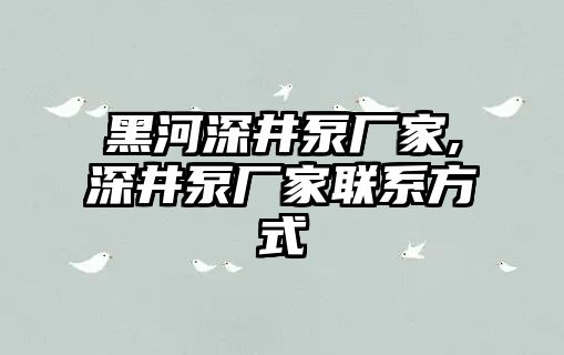 黑河深井泵廠家,深井泵廠家聯(lián)系方式