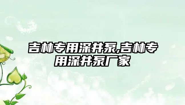 吉林專用深井泵,吉林專用深井泵廠家