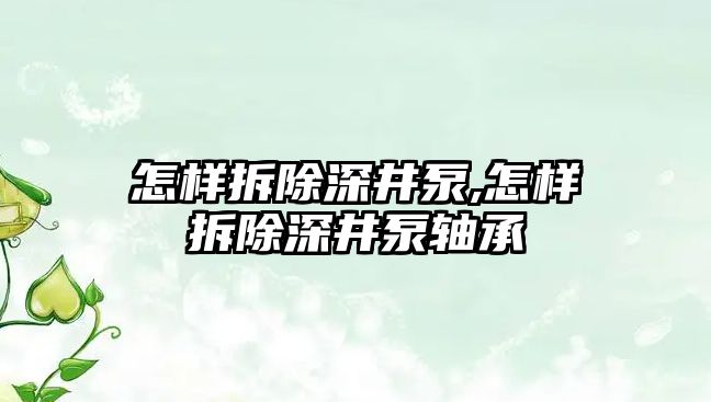 怎樣拆除深井泵,怎樣拆除深井泵軸承