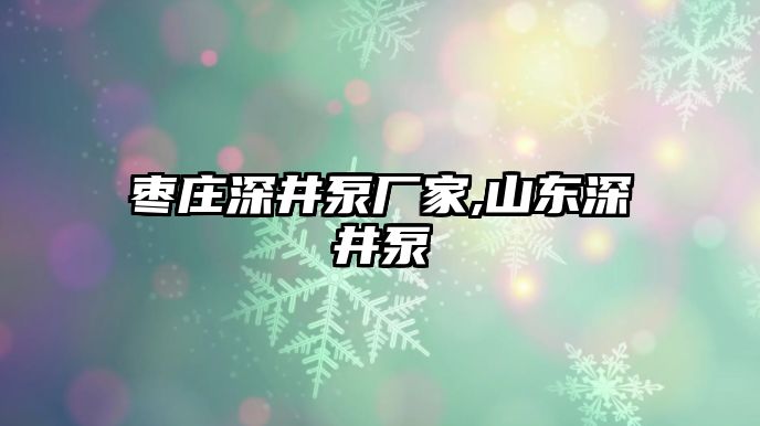 棗莊深井泵廠家,山東深井泵