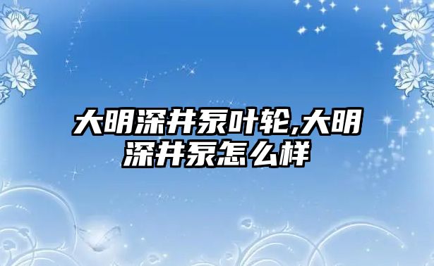 大明深井泵葉輪,大明深井泵怎么樣