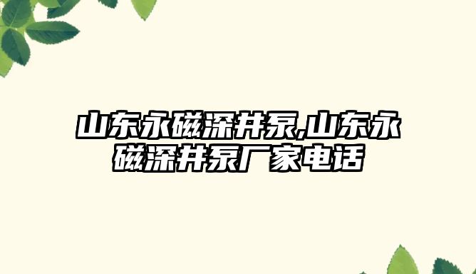 山東永磁深井泵,山東永磁深井泵廠家電話