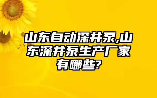 山東自動深井泵,山東深井泵生產(chǎn)廠家有哪些?