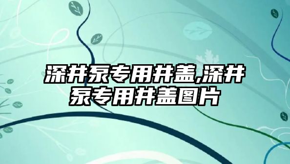 深井泵專用井蓋,深井泵專用井蓋圖片