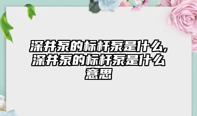 深井泵的標桿泵是什么,深井泵的標桿泵是什么意思