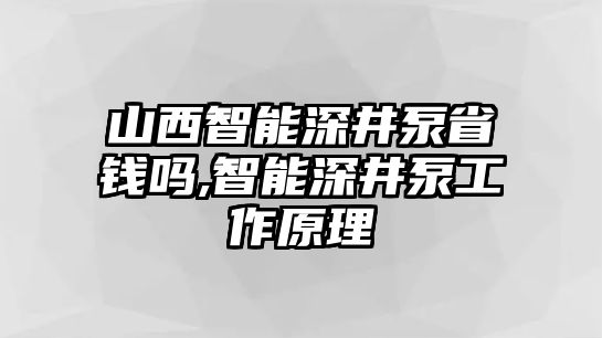 山西智能深井泵省錢嗎,智能深井泵工作原理