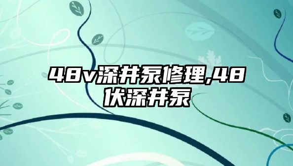 48v深井泵修理,48伏深井泵