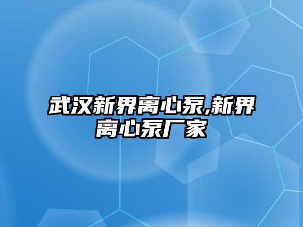 武漢新界離心泵,新界離心泵廠家