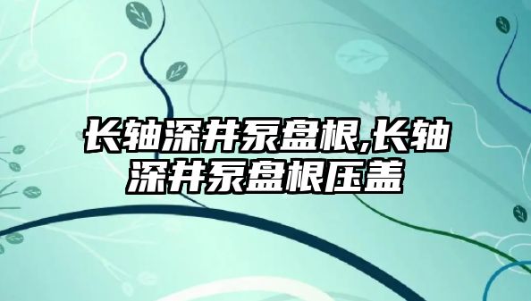 長軸深井泵盤根,長軸深井泵盤根壓蓋