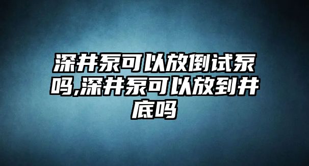 深井泵可以放倒試泵嗎,深井泵可以放到井底嗎