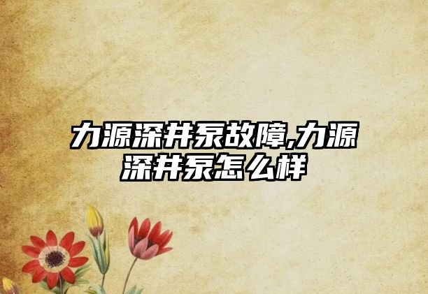 力源深井泵故障,力源深井泵怎么樣