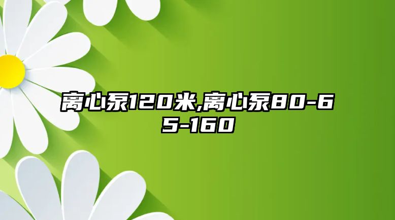 離心泵120米,離心泵80-65-160