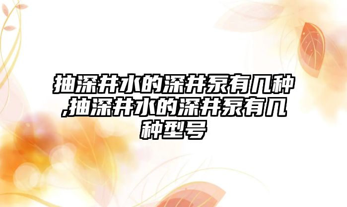 抽深井水的深井泵有幾種,抽深井水的深井泵有幾種型號(hào)