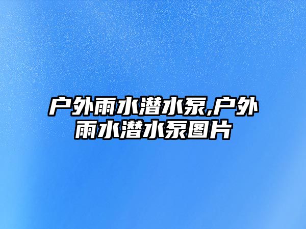 戶外雨水潛水泵,戶外雨水潛水泵圖片