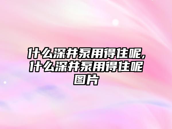 什么深井泵用得住呢,什么深井泵用得住呢圖片