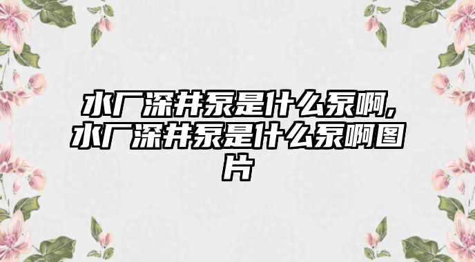 水廠深井泵是什么泵啊,水廠深井泵是什么泵啊圖片