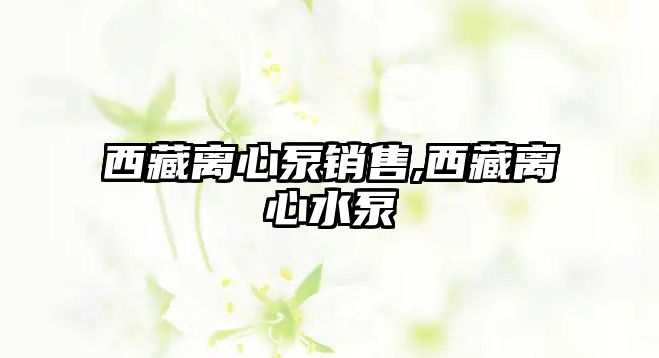 西藏離心泵銷售,西藏離心水泵