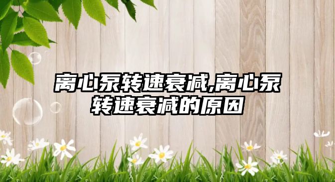 離心泵轉(zhuǎn)速衰減,離心泵轉(zhuǎn)速衰減的原因