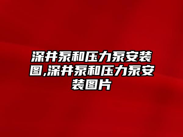 深井泵和壓力泵安裝圖,深井泵和壓力泵安裝圖片