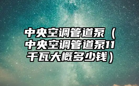 中央空調管道泵（中央空調管道泵11千瓦大概多少錢）