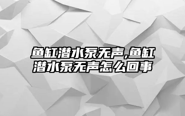 魚缸潛水泵無聲,魚缸潛水泵無聲怎么回事