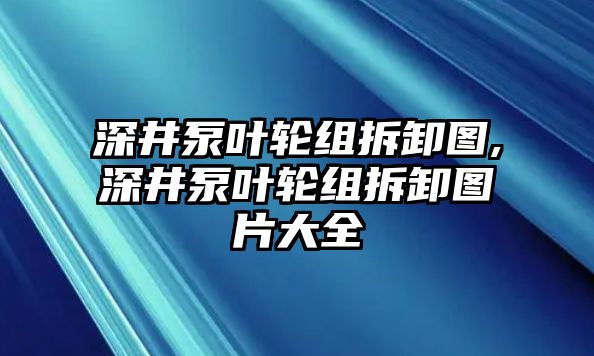 深井泵葉輪組拆卸圖,深井泵葉輪組拆卸圖片大全