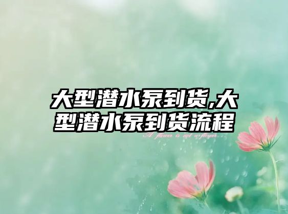 大型潛水泵到貨,大型潛水泵到貨流程