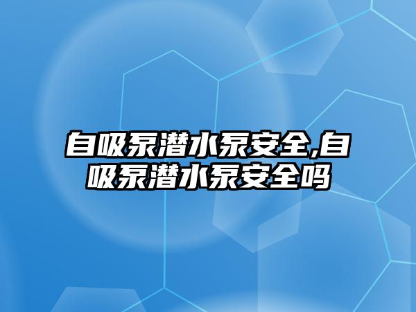 自吸泵潛水泵安全,自吸泵潛水泵安全嗎