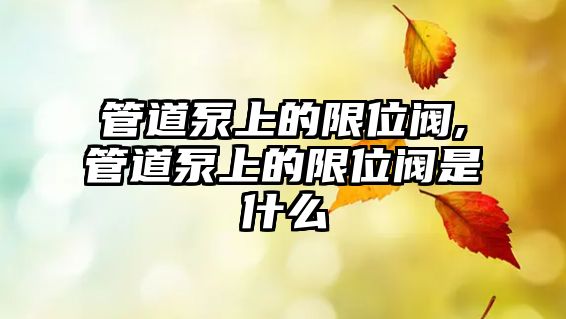 管道泵上的限位閥,管道泵上的限位閥是什么