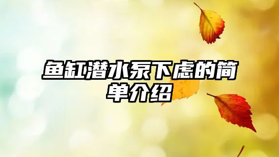 魚缸潛水泵下慮的簡單介紹