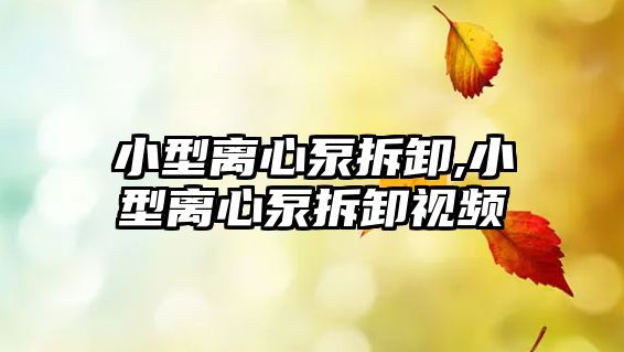 小型離心泵拆卸,小型離心泵拆卸視頻