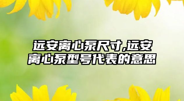 遠安離心泵尺寸,遠安離心泵型號代表的意思